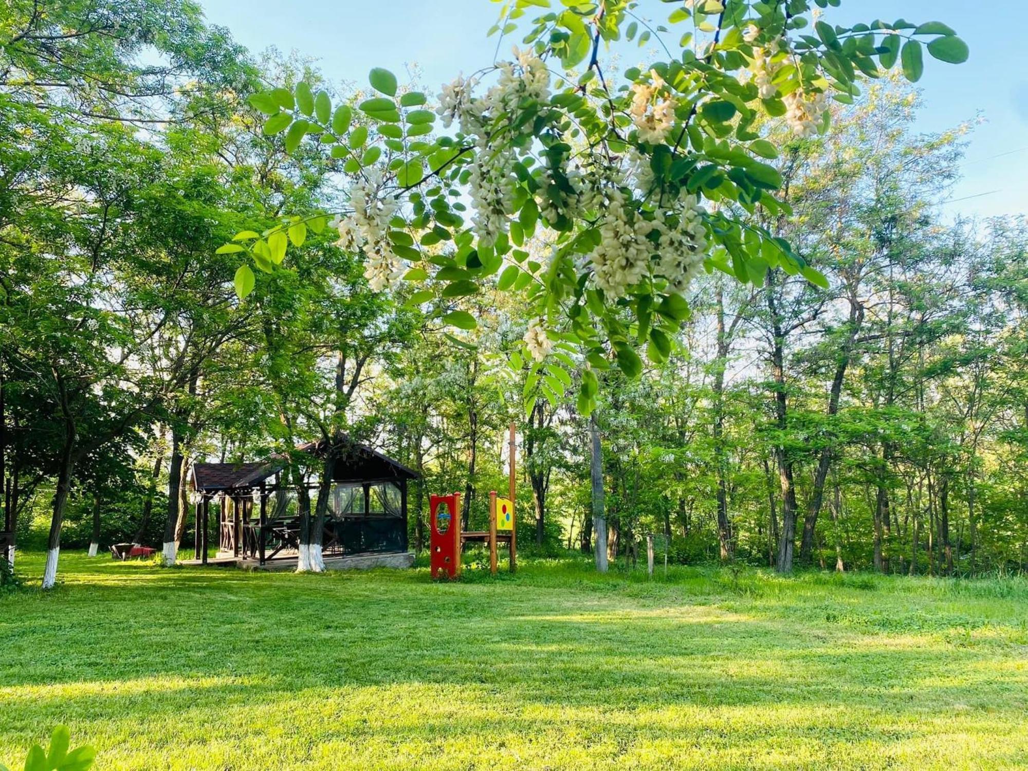 Hotel Agropensiunea La Prisaca Orhei Esterno foto