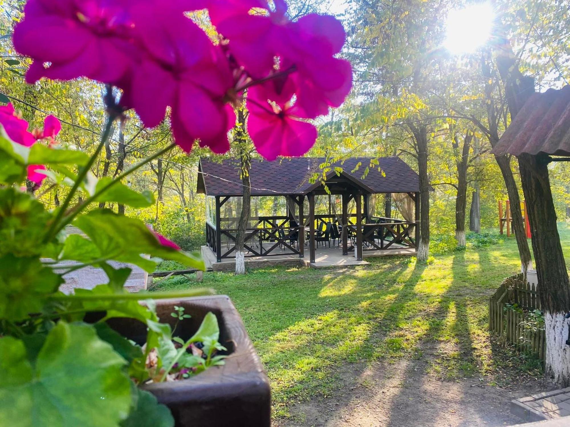 Hotel Agropensiunea La Prisaca Orhei Esterno foto