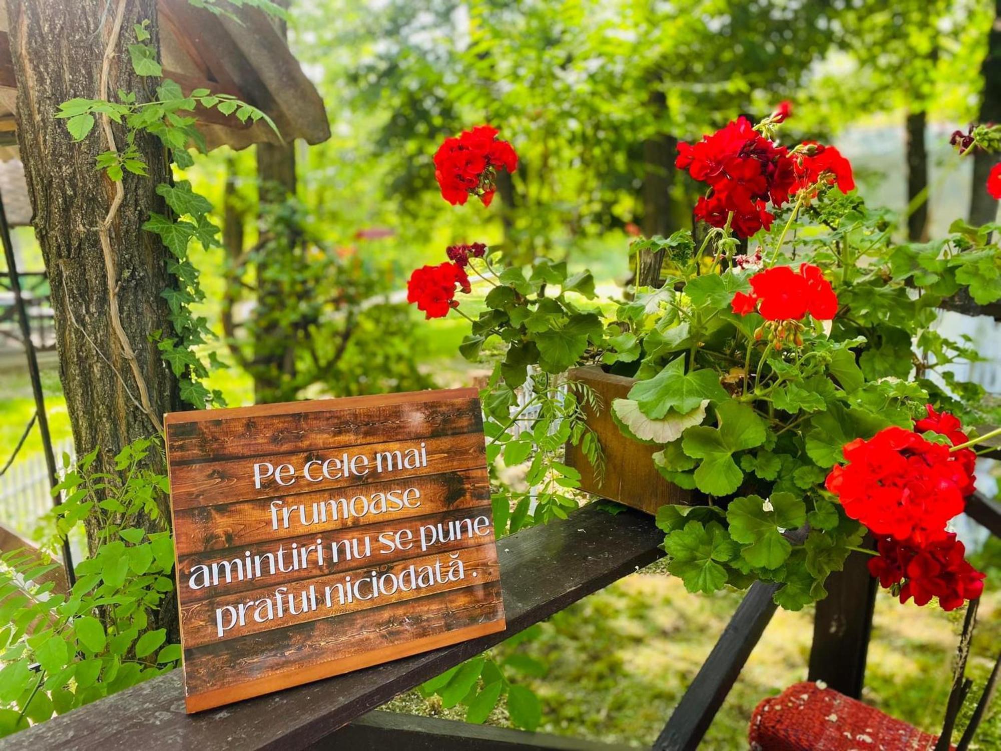 Hotel Agropensiunea La Prisaca Orhei Esterno foto